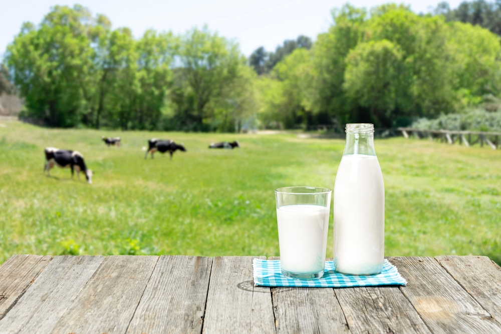 Milk on a table with cows in a pasture